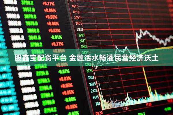 股鑫宝配资平台 金融活水畅灌民营经济沃土