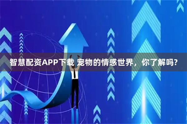 智慧配资APP下载 宠物的情感世界，你了解吗?