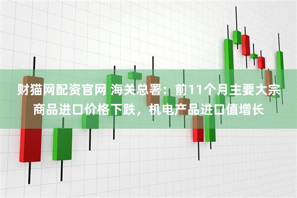 财猫网配资官网 海关总署：前11个月主要大宗商品进口价格下跌，机电产品进口值增长