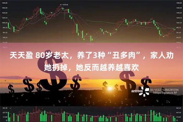 天天盈 80岁老太，养了3种“丑多肉”，家人劝她扔掉，她反而越养越喜欢